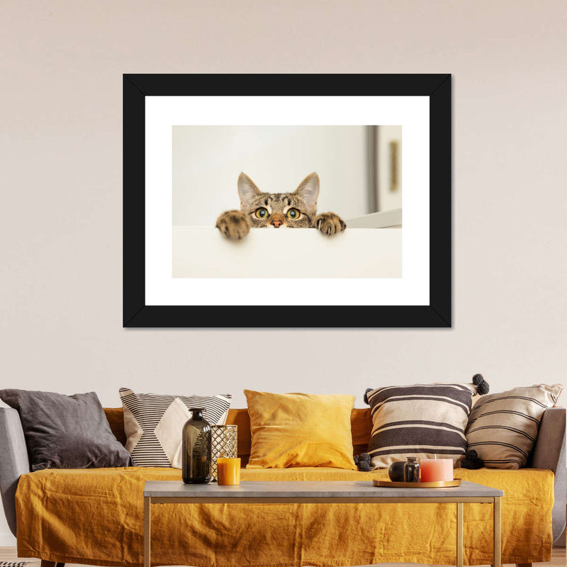 Peeking Young Cat Wall Art