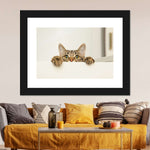 Peeking Young Cat Wall Art