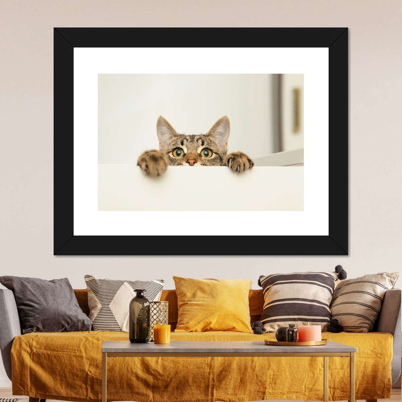 Peeking Young Cat Wall Art