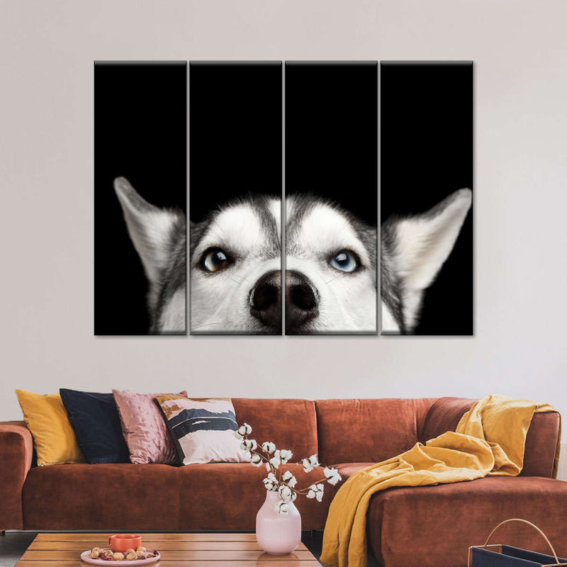 Peeking Siberian Husky Wall Art