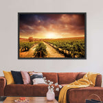 Vineyards Wall Art
