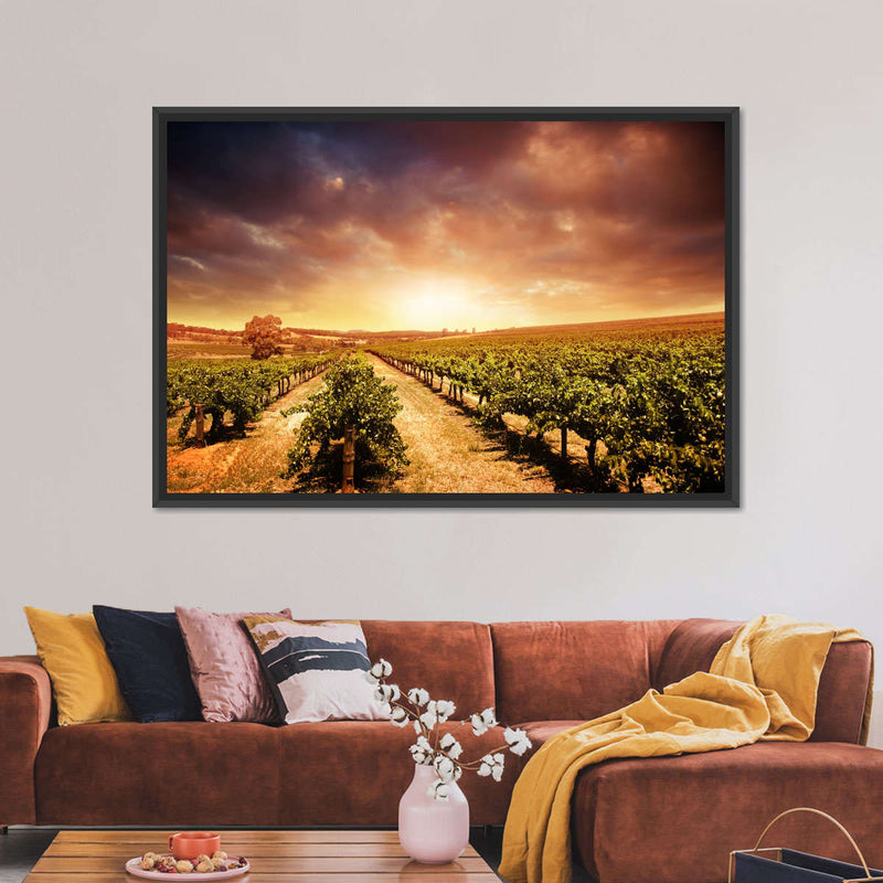 Vineyards Wall Art
