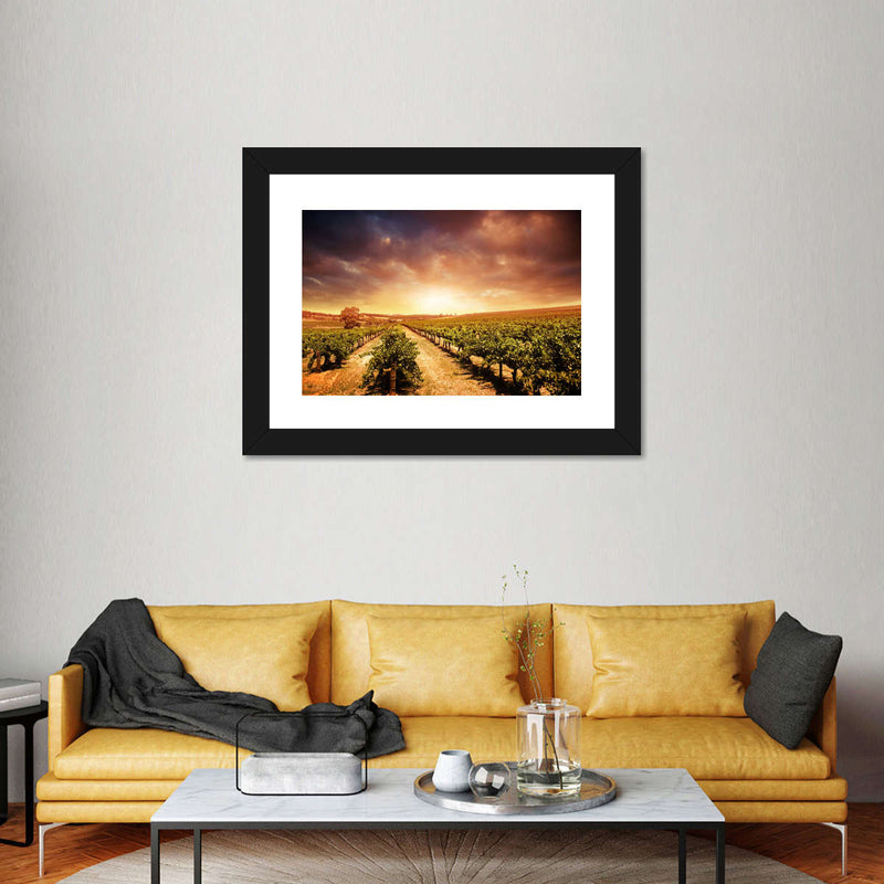 Vineyards Wall Art