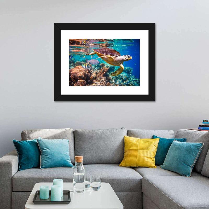 Vivid Sea Life Wall Art