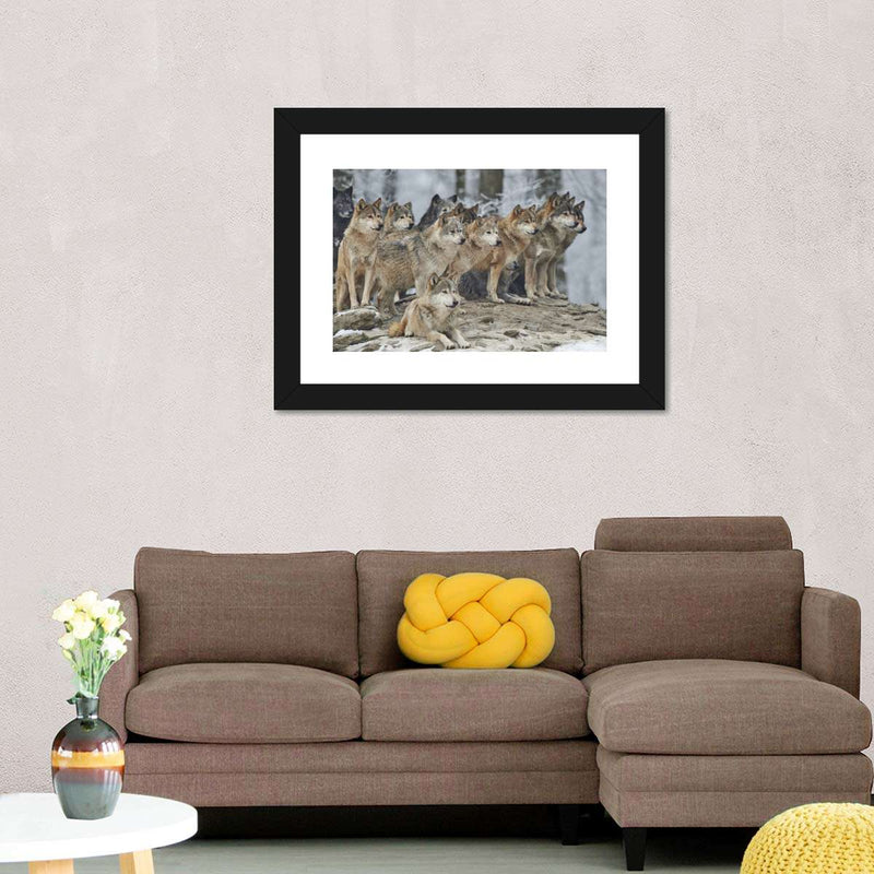 Wild Wolf Pack Wall Art