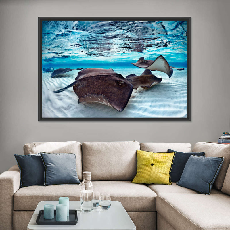 Stingrays Sea Life Wall Art