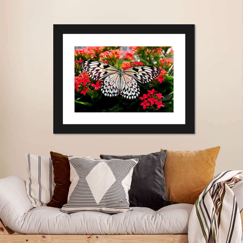 Pretty Butterfly Wall Art