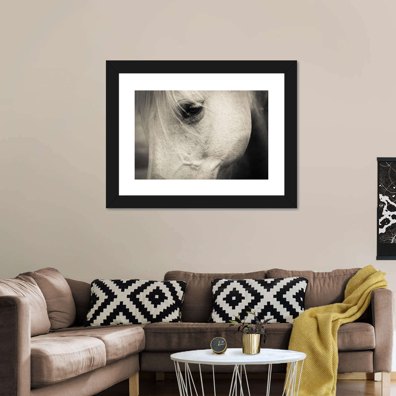 White Horse Eye Wall Art