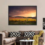 South Australia Vineyard Wall Art