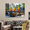 Macaw Friends Wall Art