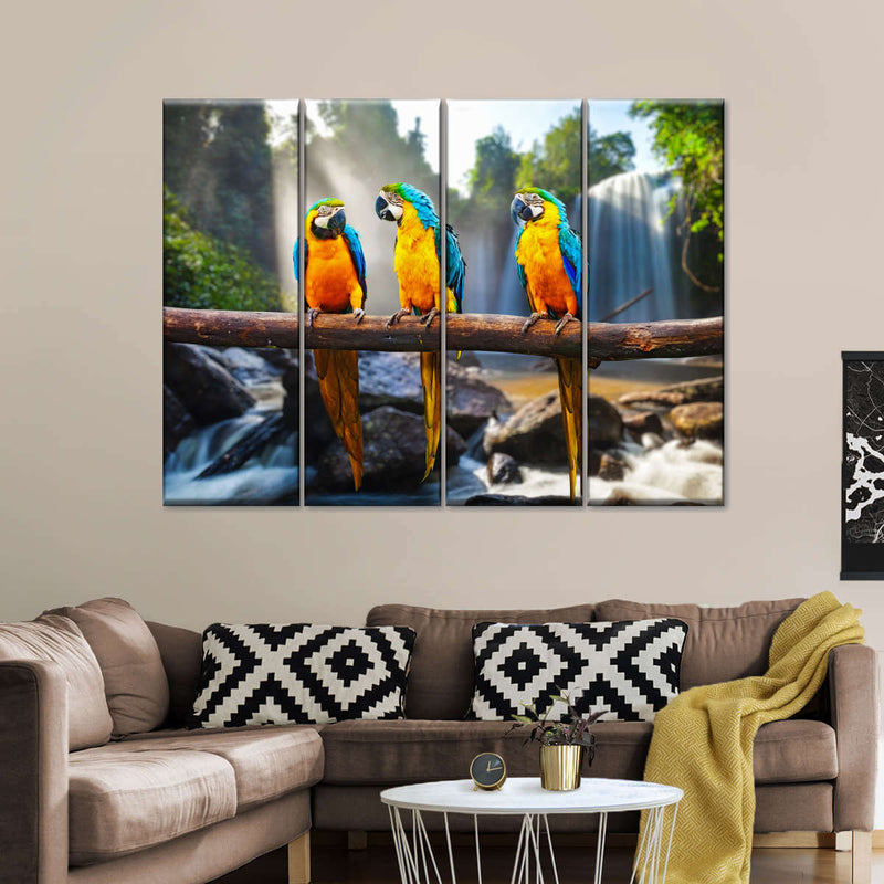 Macaw Friends Wall Art