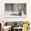 Snow Covered Elk Wall Art