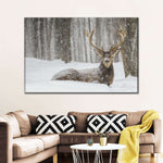 Snow Covered Elk Wall Art