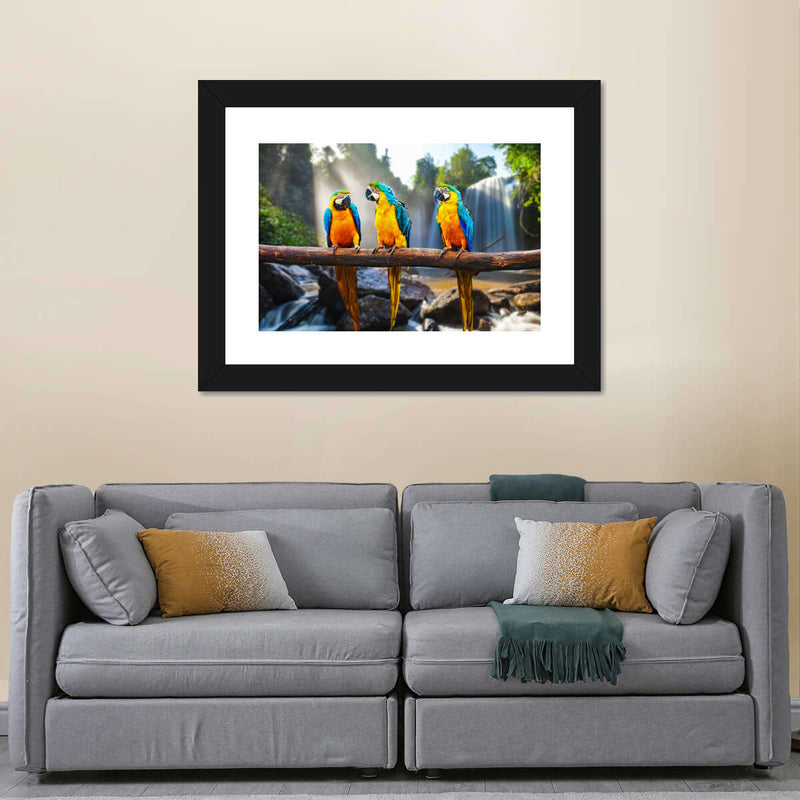 Macaw Friends Wall Art