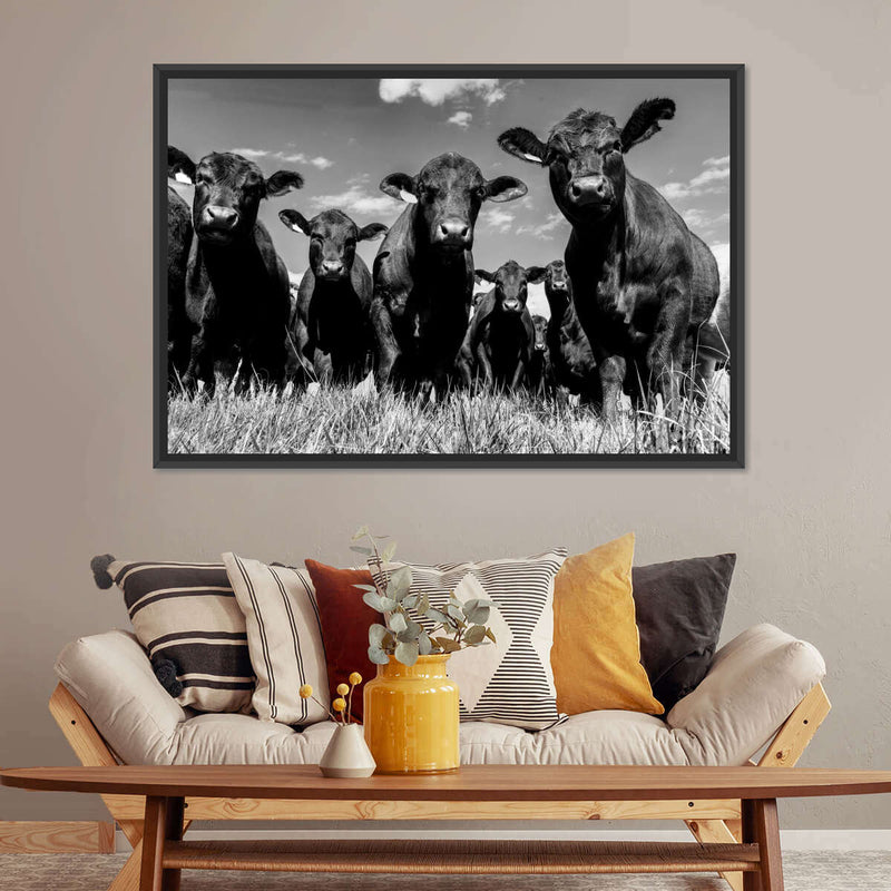 Monochrome Angus Cows Wall Art