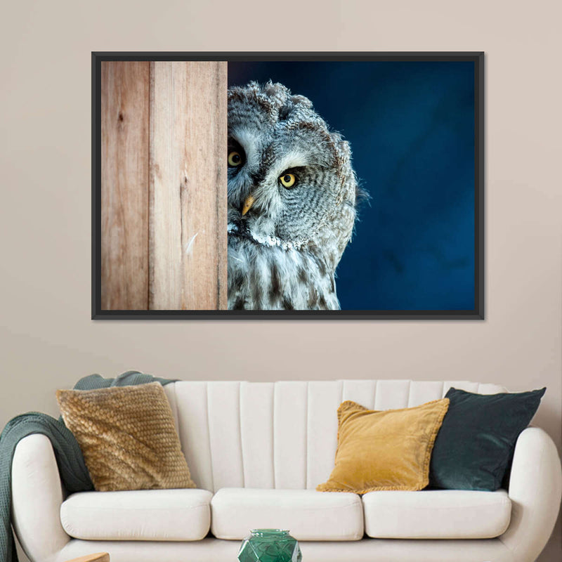 Peeking Owl Wall Art