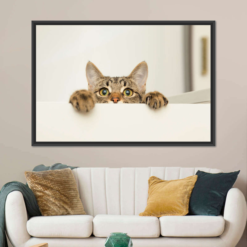 Peeking Young Cat Wall Art