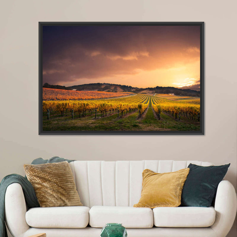 South Australia Vineyard Wall Art