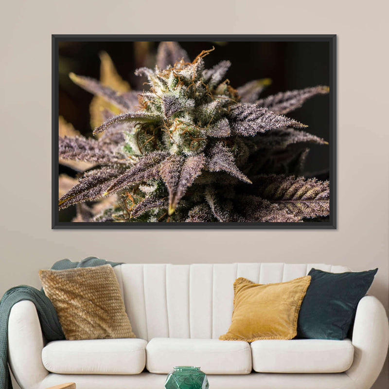 Marijuana In Winter Wall Art