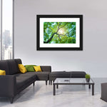 Tree Canopy Sunshine Wall Art