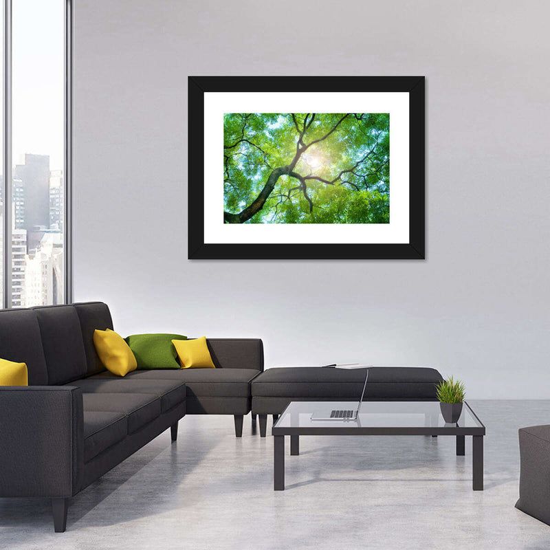 Tree Canopy Sunshine Wall Art