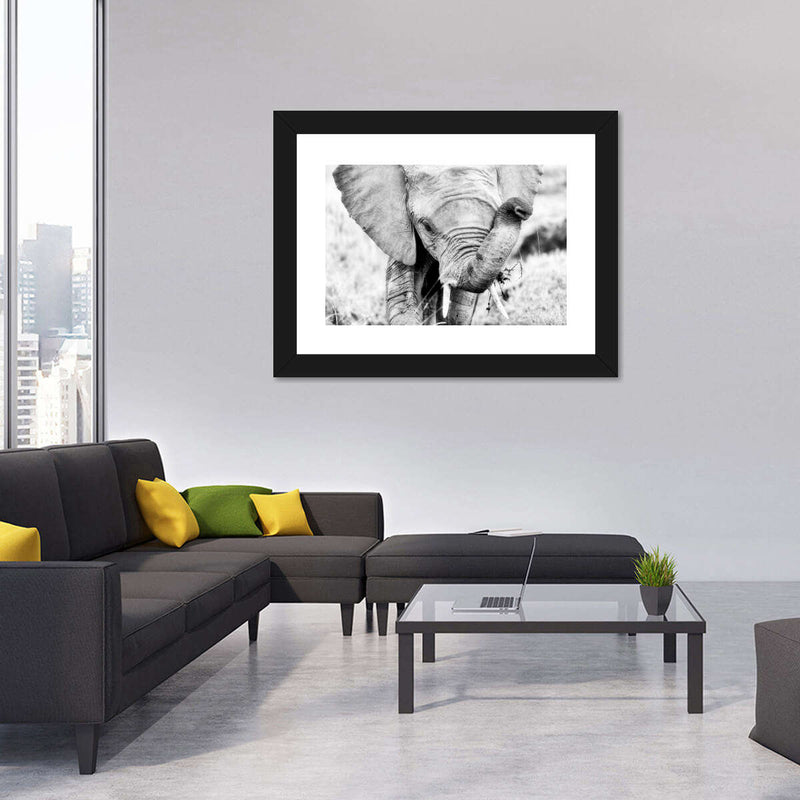 Kenyan Baby Elephant Wall Art