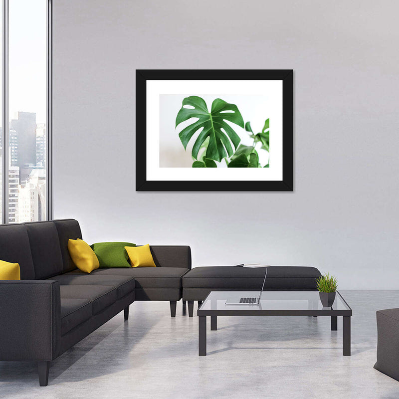 Monstera Leaf Wall Art