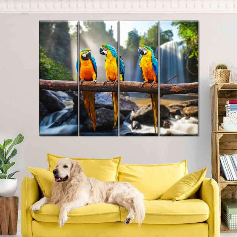 Macaw Friends Wall Art