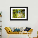 Tree Top Wall Art