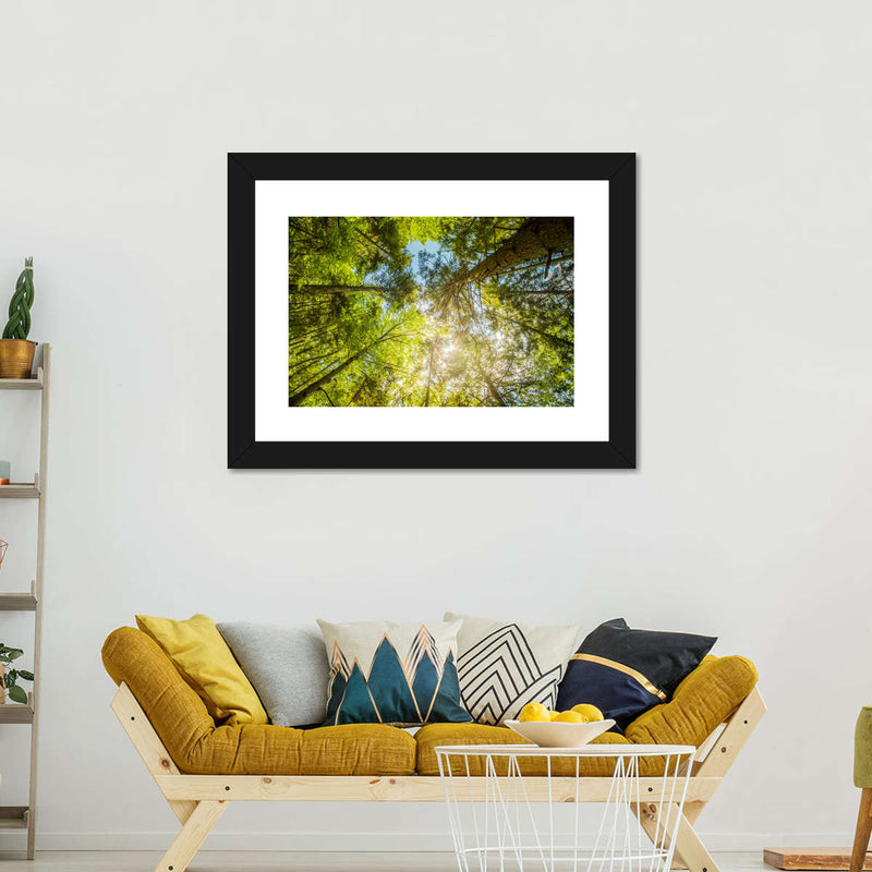 Tree Top Wall Art