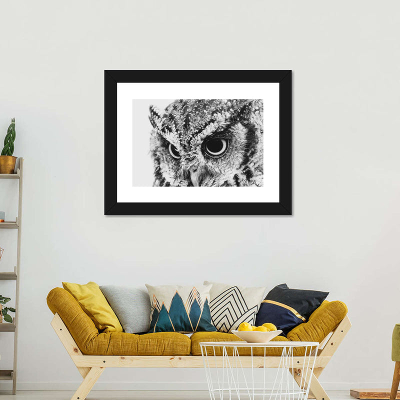 Staring Owl Wall Art