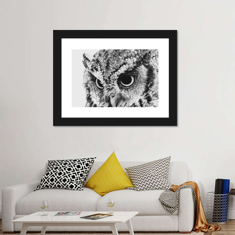Staring Owl Wall Art