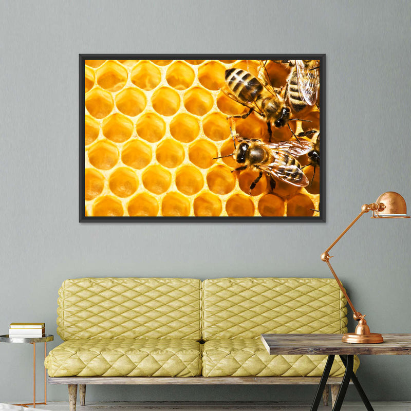 Honey Bee Hive Wall Art