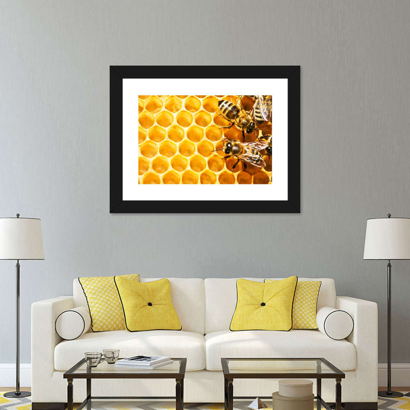 Honey Bee Hive Wall Art