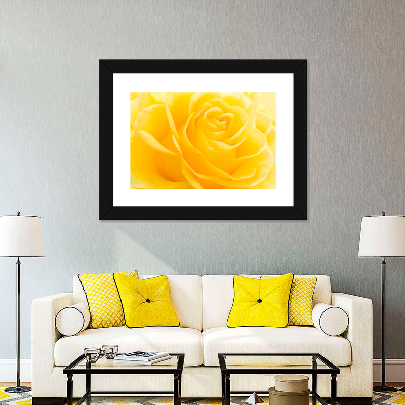 Yellow Rose Petals Wall Art