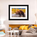 Resting Grizzly Bear Wall Art