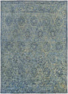 Didier Traditional Aqua Area Rug