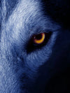 Mystic Wolf Eyes Wall Art