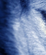 Mystic Wolf Eyes Wall Art