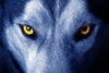 Mystic Wolf Eyes Wall Art
