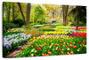 Tulips Flower Wall Art