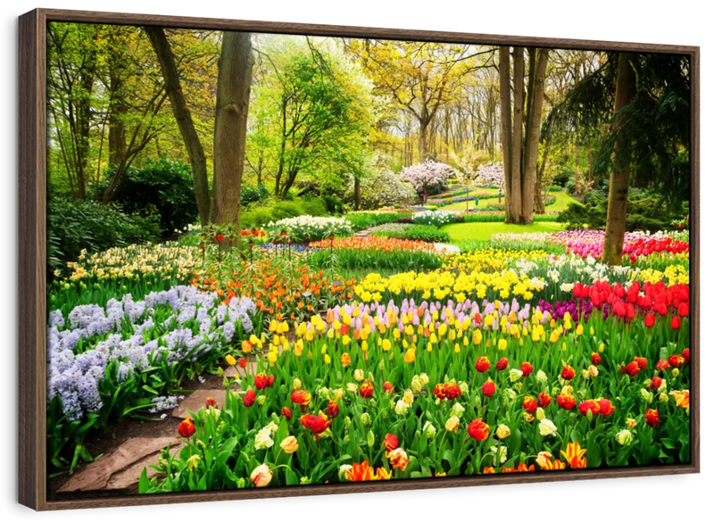 Tulips Flower Wall Art