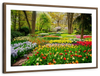 Tulips Flower Wall Art