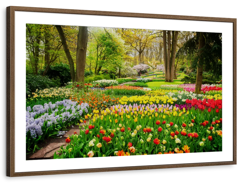 Tulips Flower Wall Art