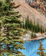 National Park Wall Art