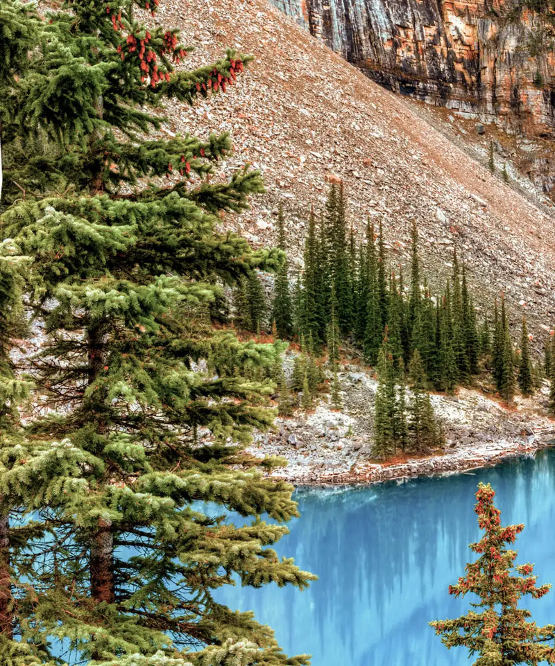 National Park Wall Art