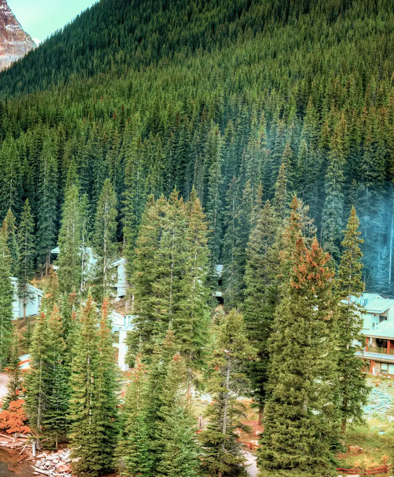 National Park Wall Art