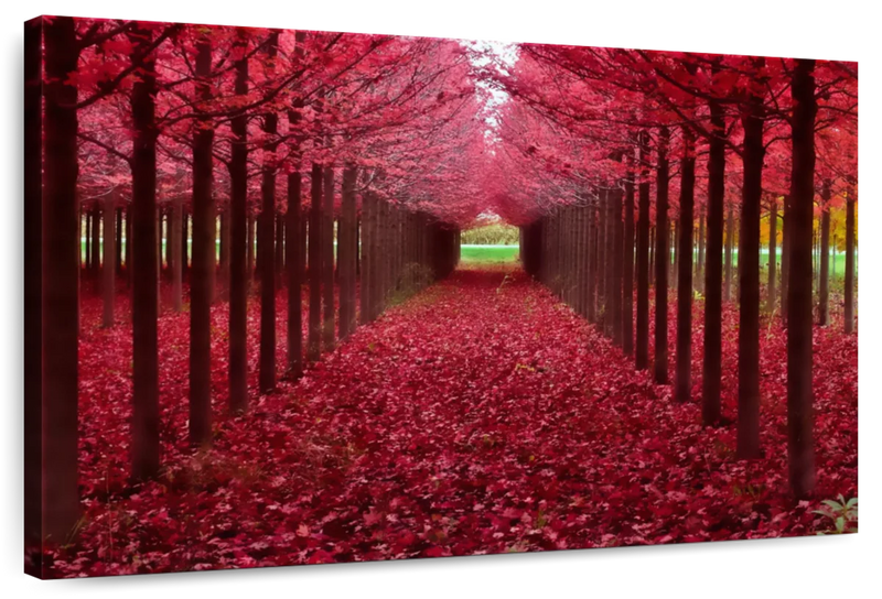 Red Forest Wall Art