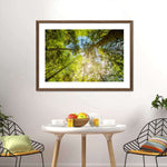 Tree Top Wall Art