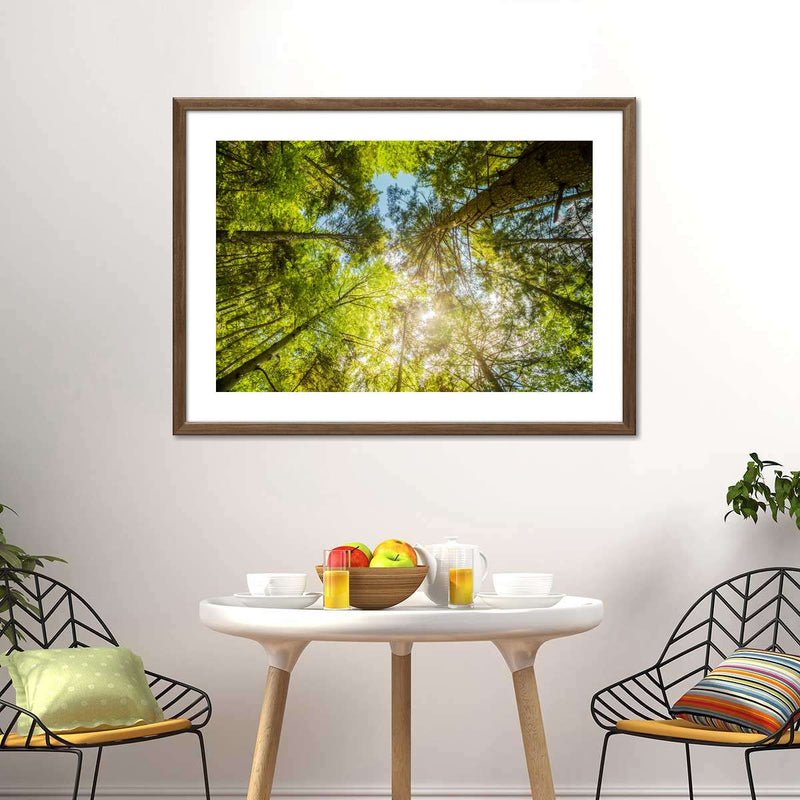 Tree Top Wall Art